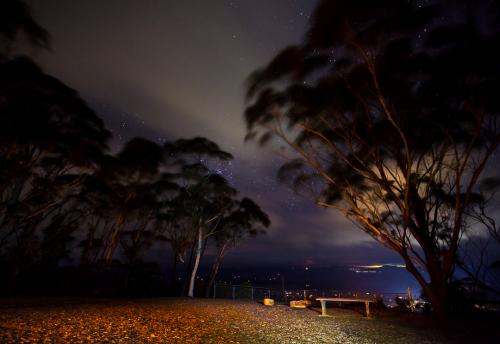 Night Sky